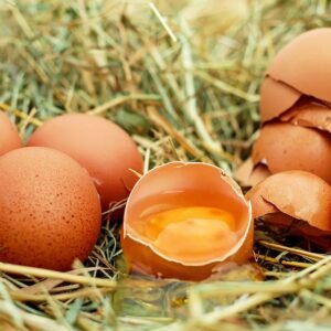 Debra+Bruner+-+cracked-yolk-eggshell-300x300 Fresh brown eggs in hay, including one cracked egg with a bright orange yolk and several intact eggs nearby.